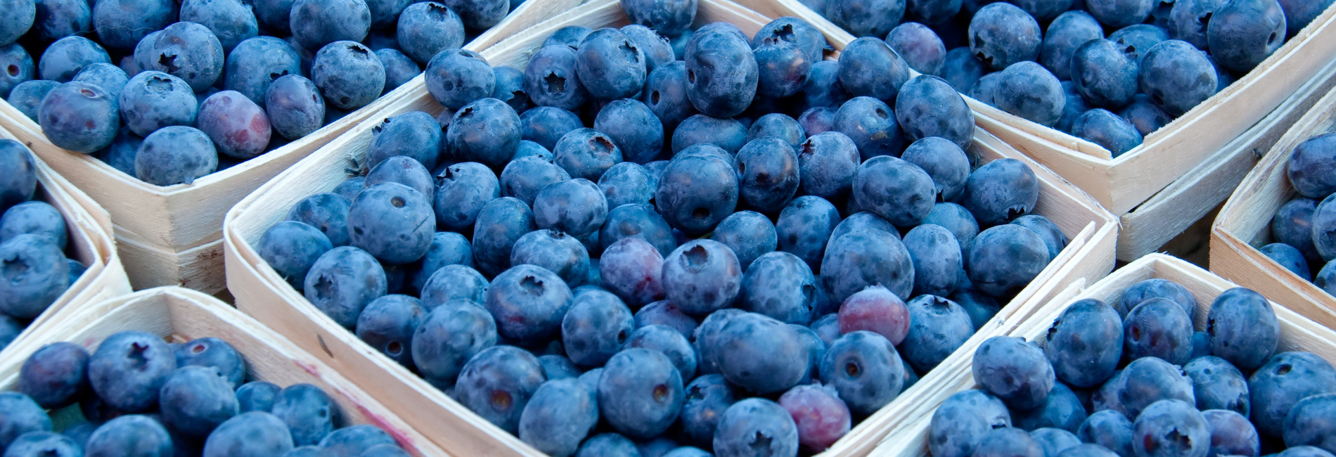 Are Blueberries Acidic
