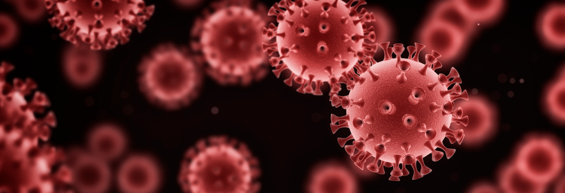 Epstein-Barr Virus