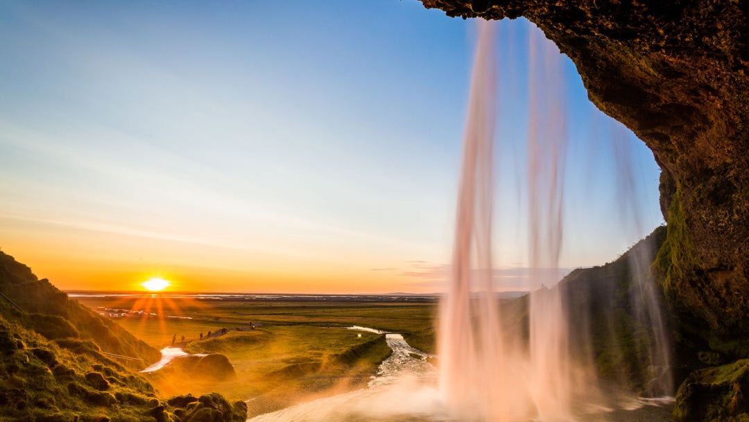 From A to Zen: Bring Your Nervous System Into Alignment