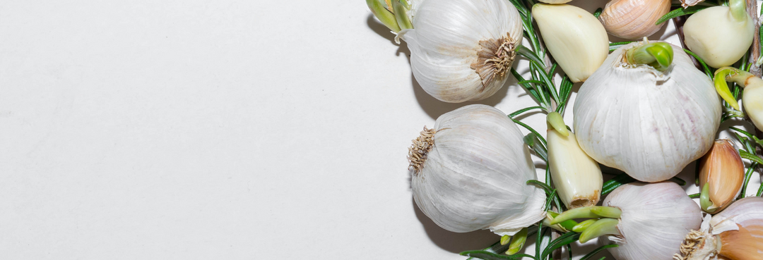 Garlic Intolerance vs. Garlic Allergy