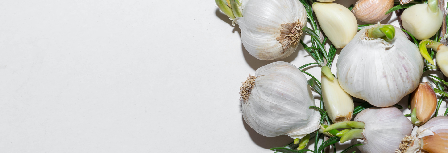 Garlic Intolerance vs. Garlic Allergy