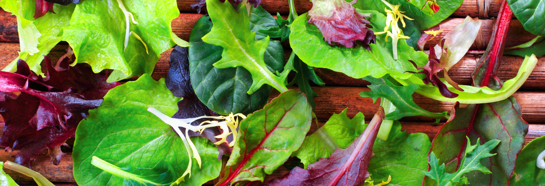 Lettuce Allergy