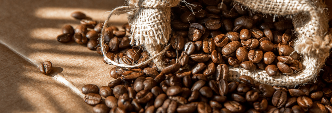 Toxins in Coffee: Should You Be Worried? Here’s What to Know
