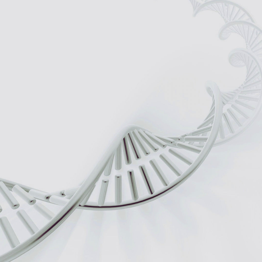 Genetic Testing: Your Nutrition Strategy